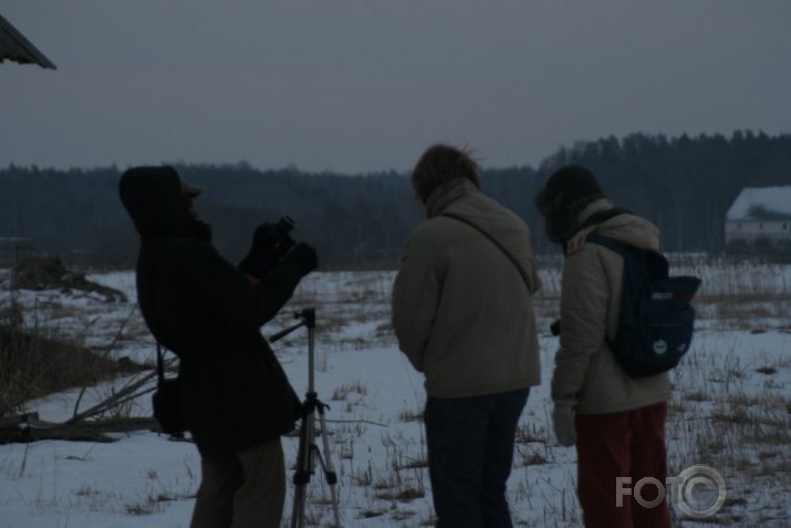 Pleners "Rīga - "Kuldīga""