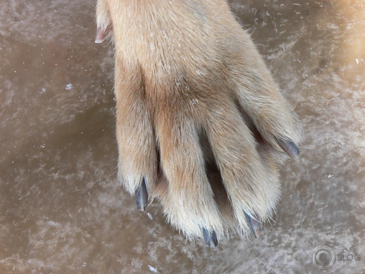slidotājs