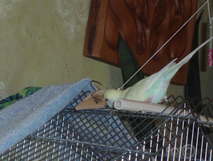 Spēle