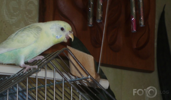 Spēle