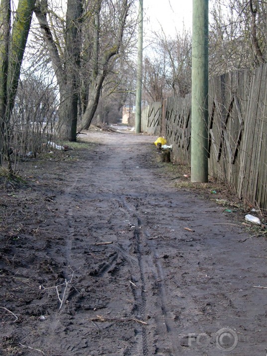 suņa kakas meklējumos
