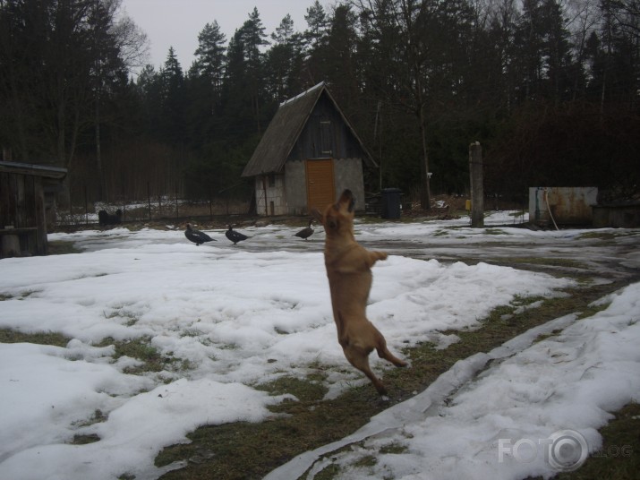 "I belive I can fly"