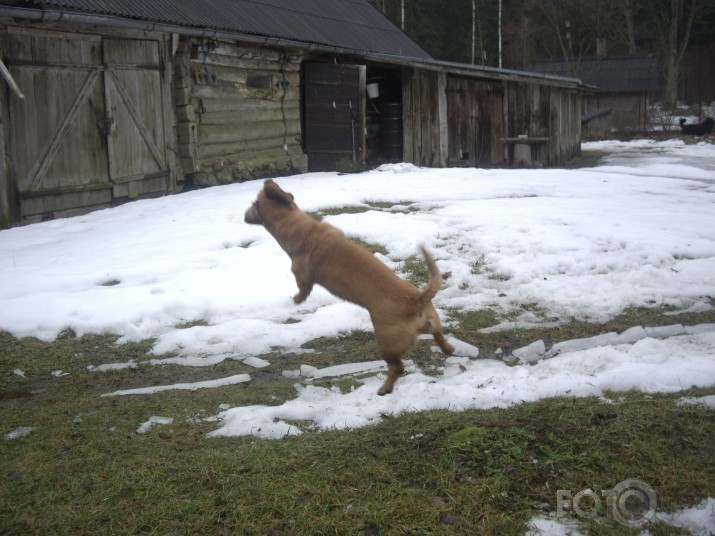 "I belive I can fly"