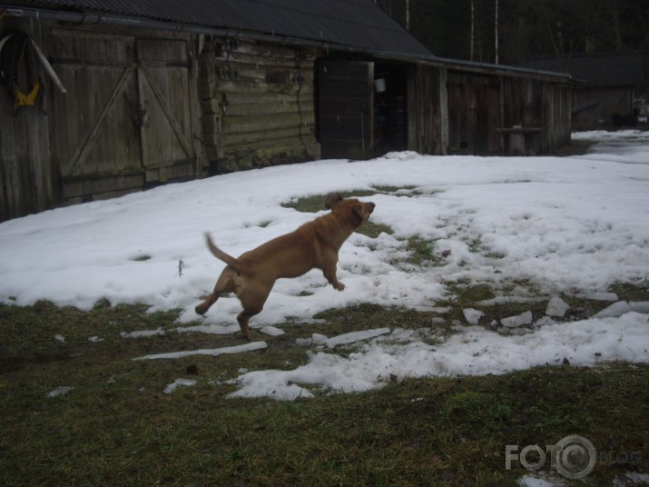 "I belive I can fly"