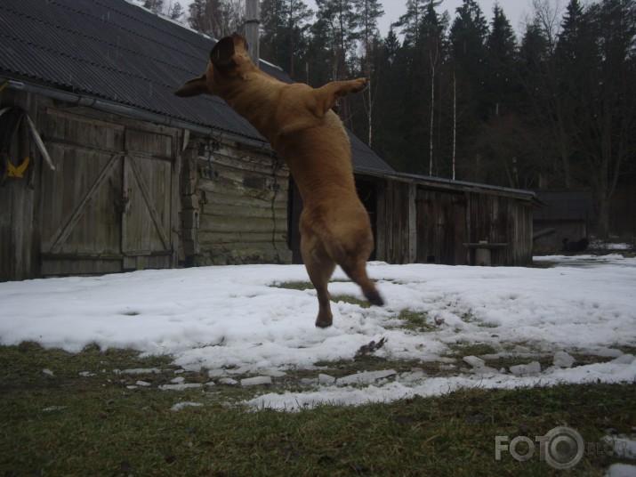 "I belive I can fly"