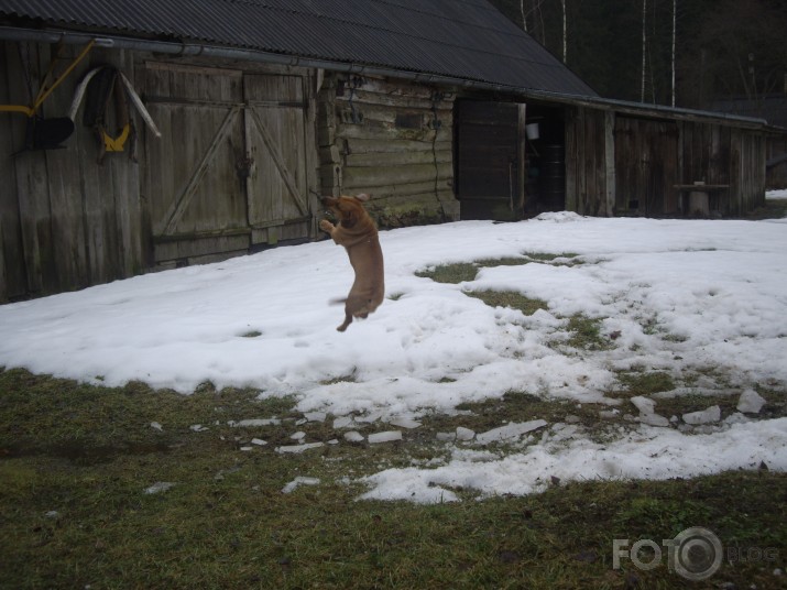 "I belive I can fly"