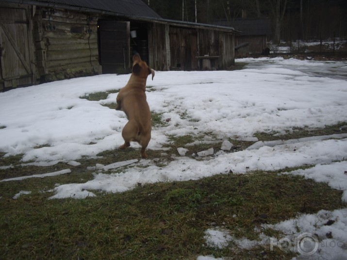 "I belive I can fly"