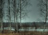 migla