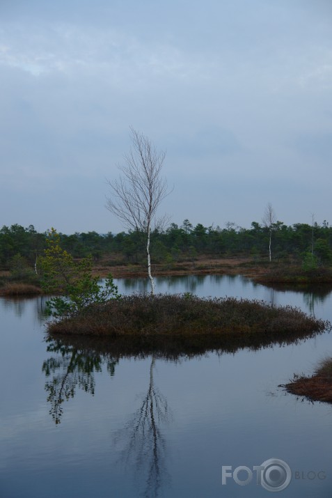 ķemeru purvājs