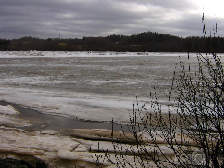 Ledus strēgums Daugavā