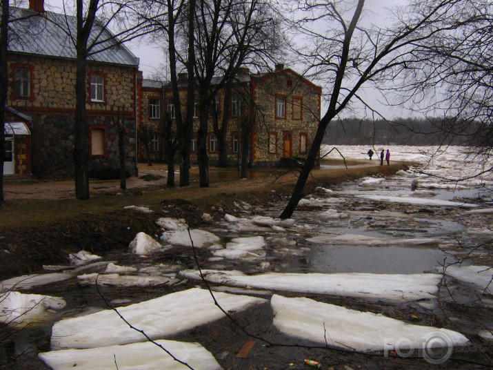 Ledus strēgums Daugavā
