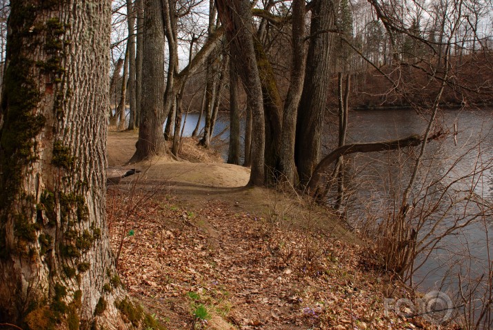 sen neredzētais parks