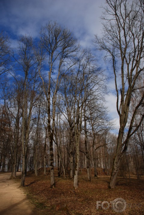 sen neredzētais parks