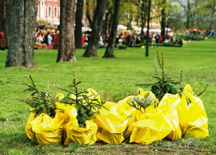 Latvijas stādu parāde Jelgavā