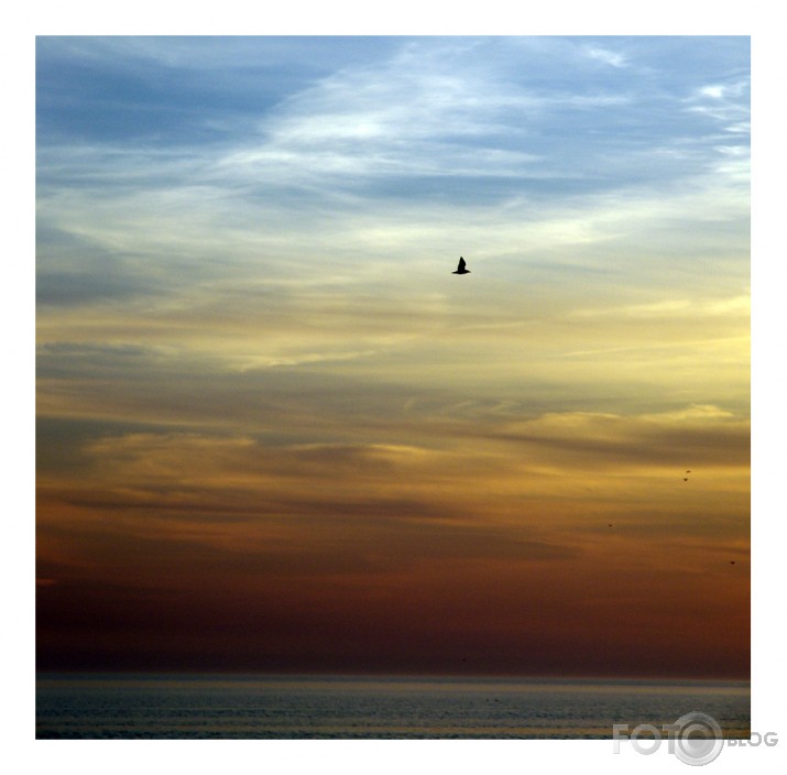 Sky