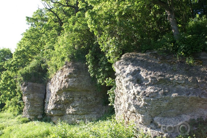 Pogas 5 Tusins Bauska 2