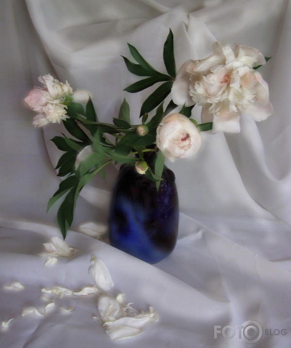 peonijas