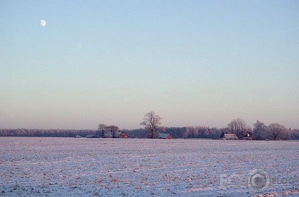 -20