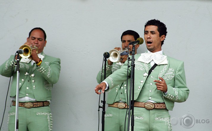 Mariachi Juvenil Santa cecilia