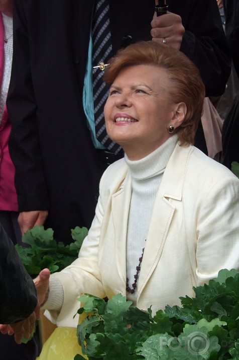 Saules Ziedi Prezidentei