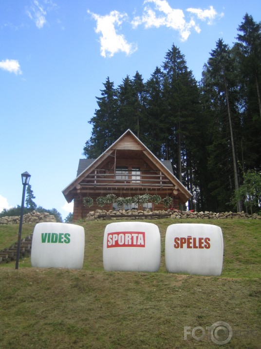 Vides sporta speles