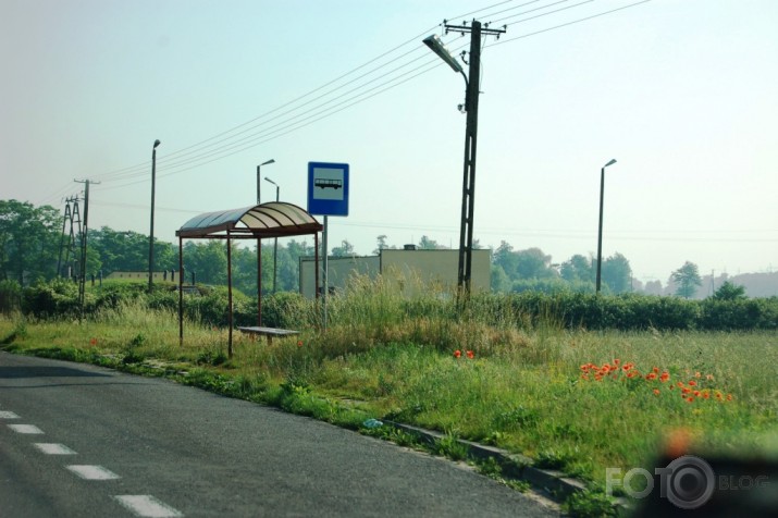 Polijas autobusu pieturas.