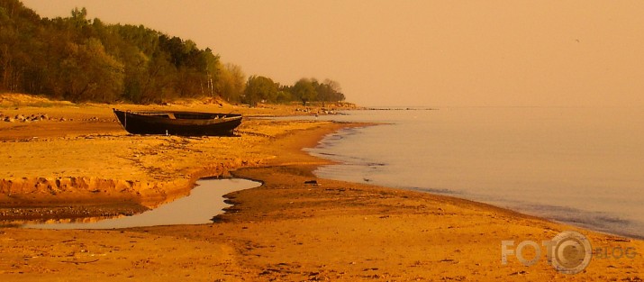 miera osta