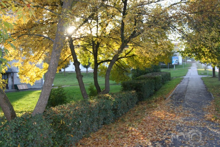 Vai tiešām rudens jau klāt?