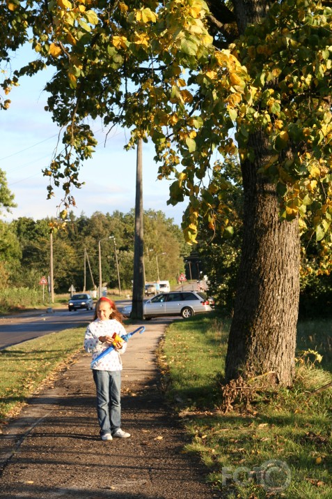 Vai tiešām rudens jau klāt?