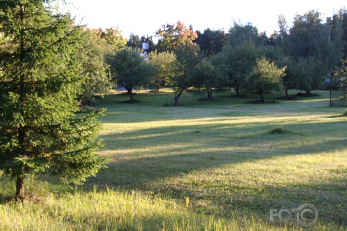 Vai tiešām rudens jau klāt?