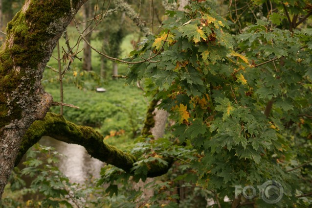 Rudens manā pilsētā un arī laukos :D