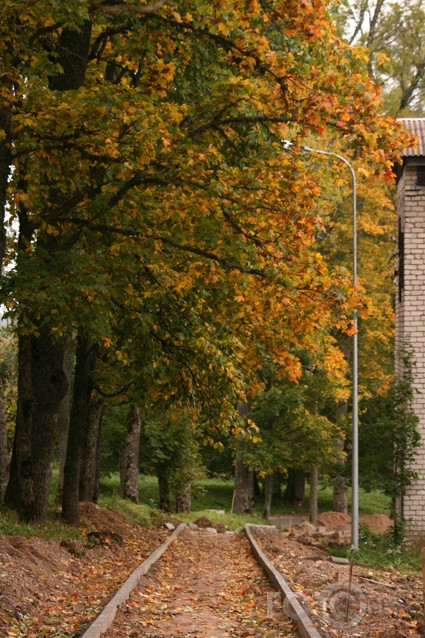 Rudens manā pilsētā un arī laukos :D