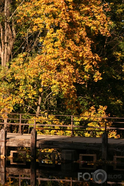 Rudens manā pilsētā un arī laukos :D