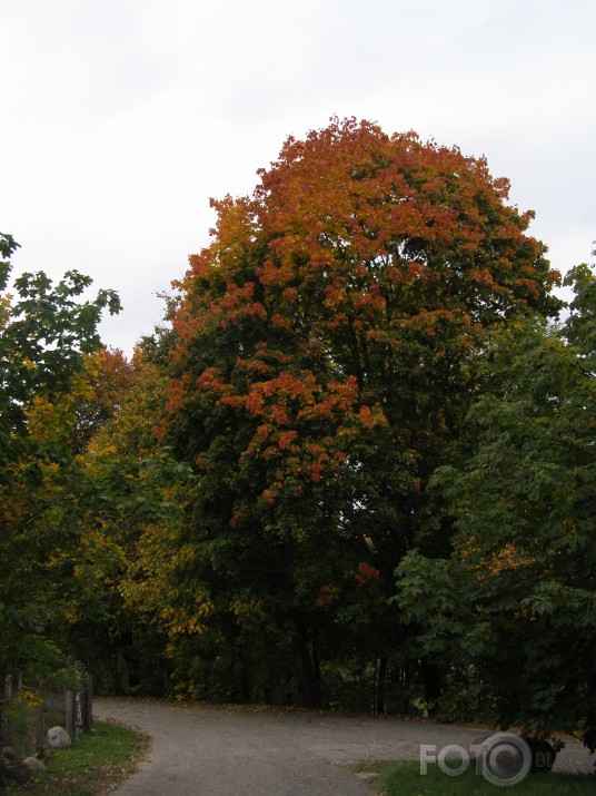 mūsu rudens