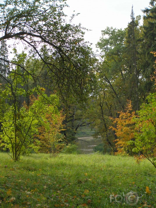 mūsu rudens