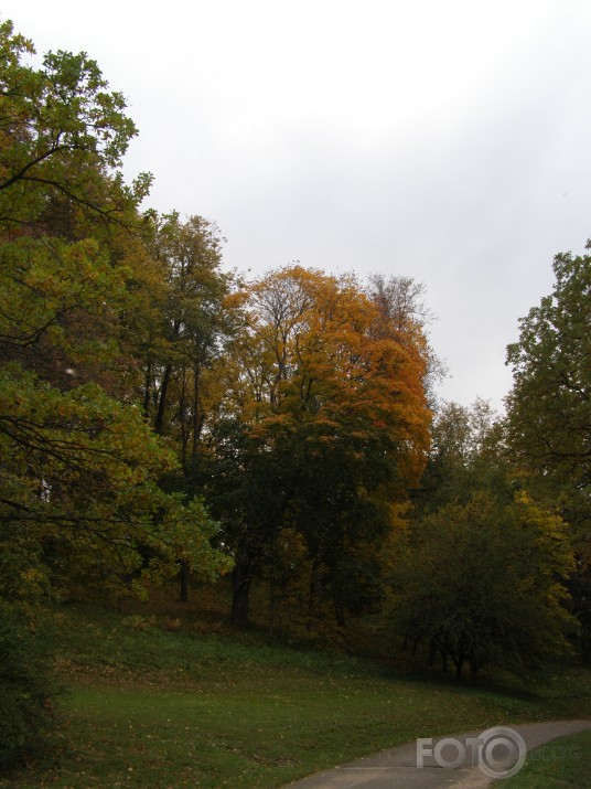 mūsu rudens