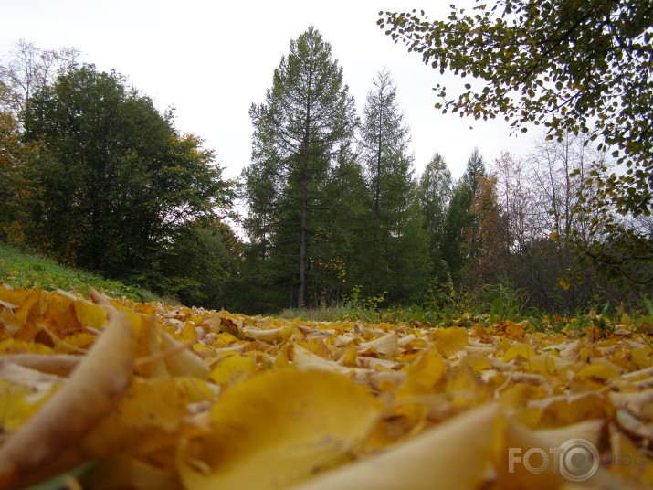 mūsu rudens