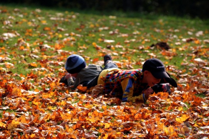 rudens Turaidā, pagājušā nedēļas nogale