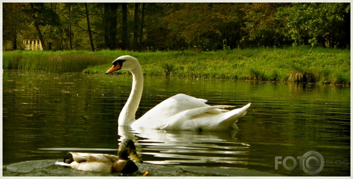 -Sigulda rudenī-