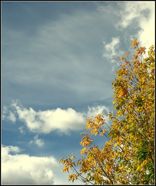 Rudens gaisā