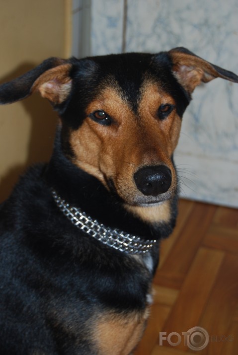 Kā es apniku Lordam :)