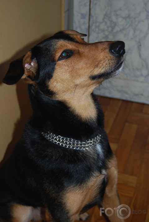 Kā es apniku Lordam :)