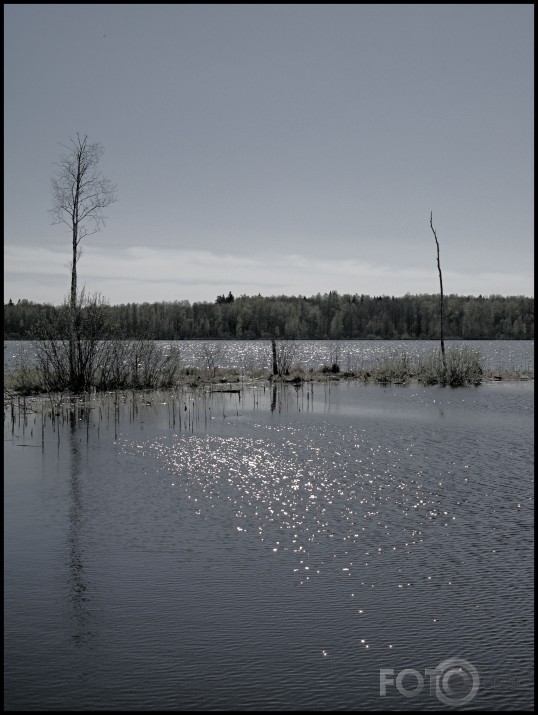 saule kaisa sudrabiņu..