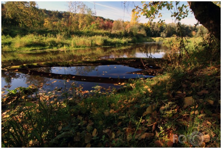 No gleznotāja Rudens autorizstādes