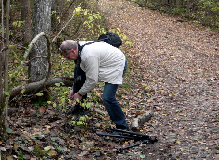 Draugi tiekas Vaidavā