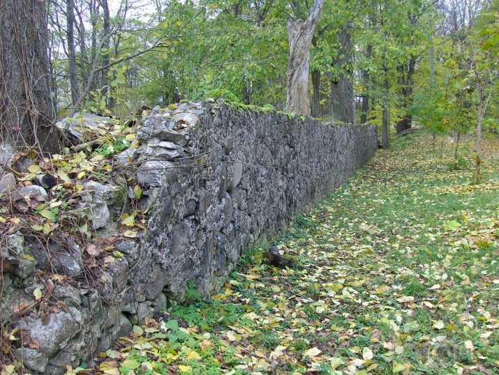 Mana pilsēta.