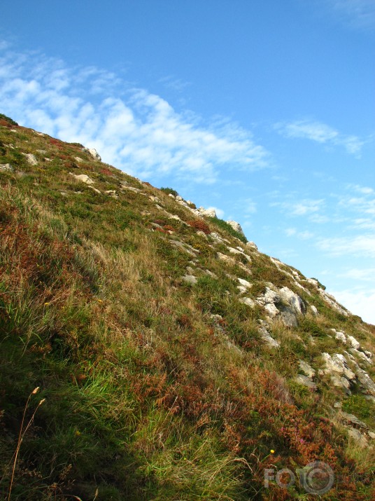 tur augsha ir Irland!