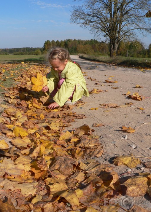 Rudens prieciņš.