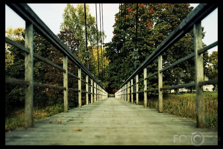 Tilts, provia 100f cross