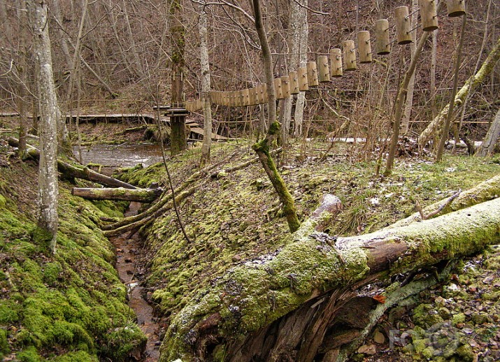 ... aši knipši par to pašu- Ieriķi, Vaidava un jokupēteri...